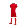 Lidong Custom Kids Sublimation Soccer Team Wear Cheap Men Blank Full Soccer Uniform/jersey Cheap Sportswear Set Children