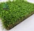 Import Lrtificial Grass Mat Artificial Carpet Artificial Pampas Grass Artificial Grass from China