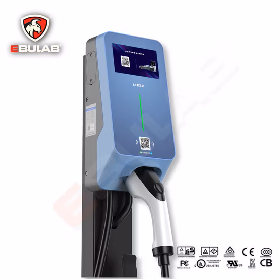 Import Manufacturer 60kw 80kw 120kw 240kw Commercial Charger Level 3 Electric Car EV Fast DC Charging Station from China