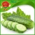 Import Manufacturing Cucumber mini cucumber from China