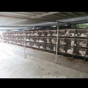 meat rabbit cages for poultry farm used