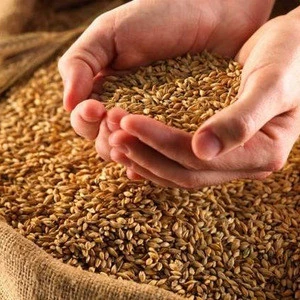 Milling Wheat, Feed Wheat, Buckwheat, Rye