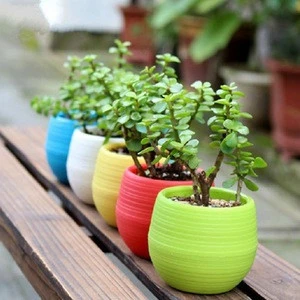 Mini Colourful 1pcs 7*6.5CM Cute Round Home Garden Office Decor Planter Plastic Plant Flower Pots Garden Supplies