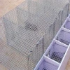 Mink wire mesh cage/automatic quail cage design