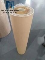 Munkcare Wall Insulated Eps Cement Sandwich Panel Price Board