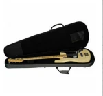 Music instrument bag