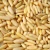 Import My test Cheap bulk organic pine nuts from China