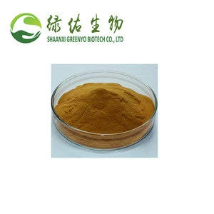 Natural Alkaloid 100% Natural ISO Factory Supply High Quality Areca Catechu Extract, Areca Palm Extract,90% Arecoline