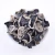 Import Natural Dried Black Agaric/Black Fungus from China
