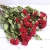 Import Natural dried rose dry flowers long life roses bouquet with stem from China