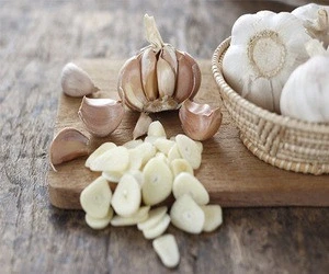 Natural Fresh White Garlic 5.0cm Price