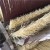 Import Natural tampico fiber brush for wooden furniture polishing from China
