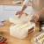Import New 4-layers  Wonton storage  Box Plastic Fresh Storage  Refrigerator Dumpling Box  Freezing Box With Handle from China