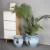 Import New -arrival modern simple style wholesale bulk garden ceramic large size plant pot from China
