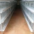 Import New breeding equipment pigeon cage, quail cage small brooding cage from China