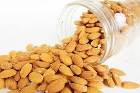 NEW CROP ALMOND NUTS IN SHELL/ ALMOND WITHOUT SHELL/ BITTER ALMOND KERNEL