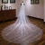 New Customized Long Gold-gilded Yarn Lace Trim Ivory Wedding Bridal Veils Suppliers