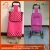 Import New Fashionable Promotional Luggage Trolley from China