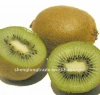 NEW Fresh Kiwi Fruit