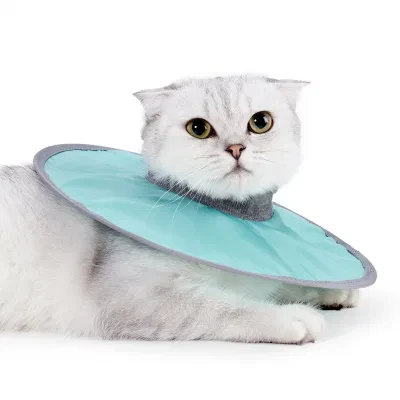 New Pet Cat Dog Felt Crown Elizabeth Circle Collar Ring of Anti Licking Biting Shame Ring Head Cover Supplies Products Accessories