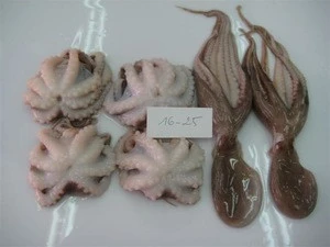 New Stock Whole Cleaned Frozen Baby Octopus Cheap Price