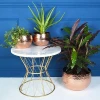 New Style High Quality Brass India Planters Style Vase
