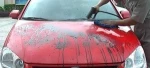 No boiler car cleaner steamer with car wax system / Steam car wash machine