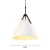 Import Nordic Modern simple small Chandelier Restaurant clothing Milk tea shop Cafe Porch Aisle Creative Pendant lamp from China