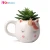 Import Novelty Design Green Ceramic Ins Cactus Shape Self Watering Indoor Planter Garden Planter Home Decor from China