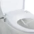Import NZMAN Bidet Toilet Seat,Toilet Bidet,Mechanical Bidet SEAT A5 from China