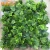 Import OEM Packing Home Garden Decorative DIY Wall Hanging Synthetic Grass Fence Green Wall from China