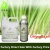 Import OEM/ODM service Perfume essence Bulk Citronella Oil for insect repellent from China