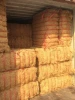 Offer Competitive Price Coconut Fiber from Vietnam with best price