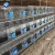 Import Offer Rabbit Breeding Cage(ISO9001) in High Quality from China