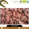 Organic Dry Cocoa Beans for Sale