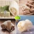 Import Organic Loofah Shower Sponge, Primitive Loofah Bath Ball Combined with Facial Cleanser can Better Remove the Horny from China