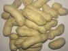 Organic Pure Peanuts