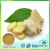 Import organic red oleoresin ginger extract in stock from China