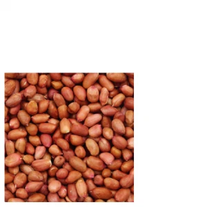 Organic Red Skin Blanched Peanuts