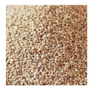Organic White Quinoa Grains also Red Quinoa and Black Quinoa High Quality