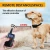 Import PaiPaitek 1000m range IP67 waterproof collar electric dog shock training collar with Remote Pet Collar Training dog from China
