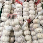 pe weave net/ filter mesh bag/ nylon bath towel monofilament extruding extrusion line/ yarn extruder
