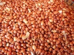 Peanuts