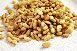 Pine Nuts wholesale price