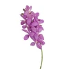 Pink Fresh Cut Mokara Orchid High Quality Wholesale Cut Flower