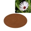 pinneria extract  Mesembrianthemum extract purpurle alkamides echinacea extract  Day Natural