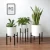 Import Plant Stand Home Decoration Adjustable Metal Modern Flower Potted Holder Rack Plant Stand for Indoor Or Outdoor from China