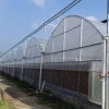 Pop-up Single Wide Span Greenhouse Domestic Hot Sale Tunnel Greenhouse Clear Plastic Greenhouse