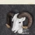 Import Popular design resin craft home decoration of sheep head from China