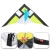 Import Popular Outdoor Toys Kite 290*135cm Single Line Stunt Kite Children Adults Delta-shape Triangle Fly Kite Flyer for Family Fun from China